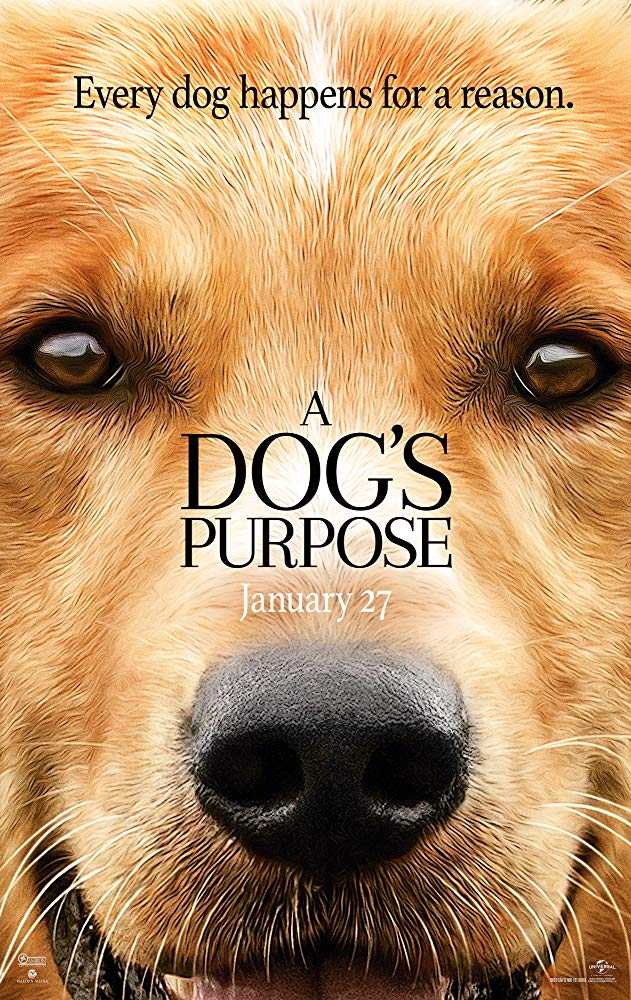 مشاهدة فيلم A Dog’s Purpose 2017 مترجم